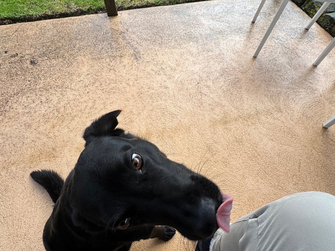 Peterborough House主图