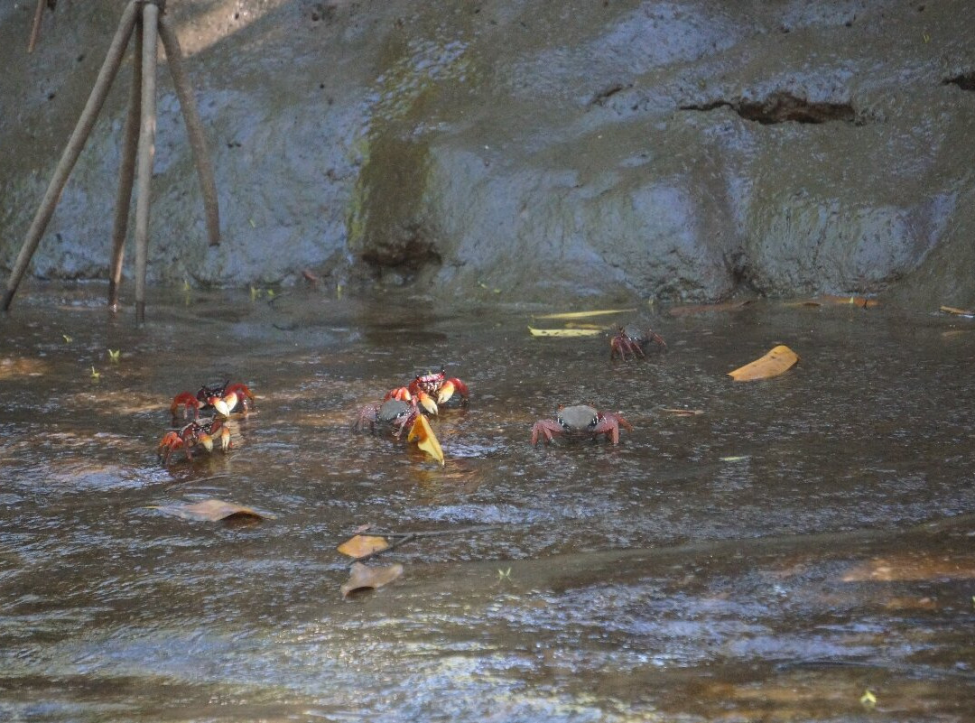 Delta Rio Parnaiba Turismo-Parnaiba必去景点