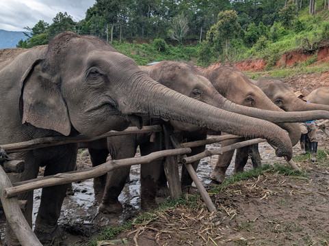 Aventura Tailandia-清迈必去景点