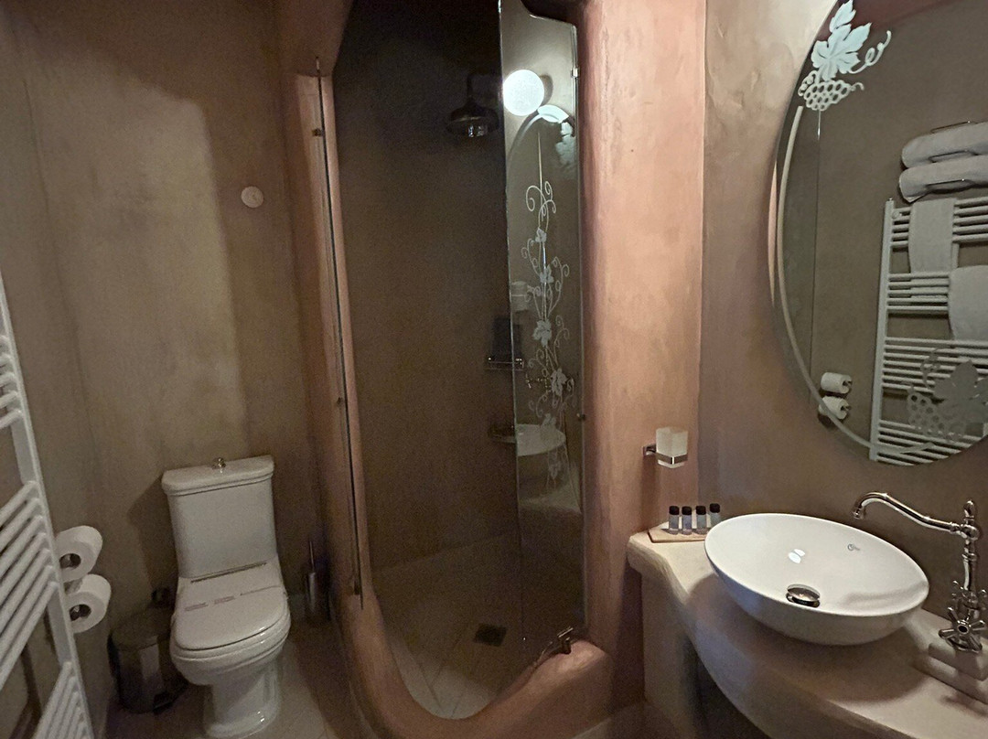 Orologopoulos Mansion主图