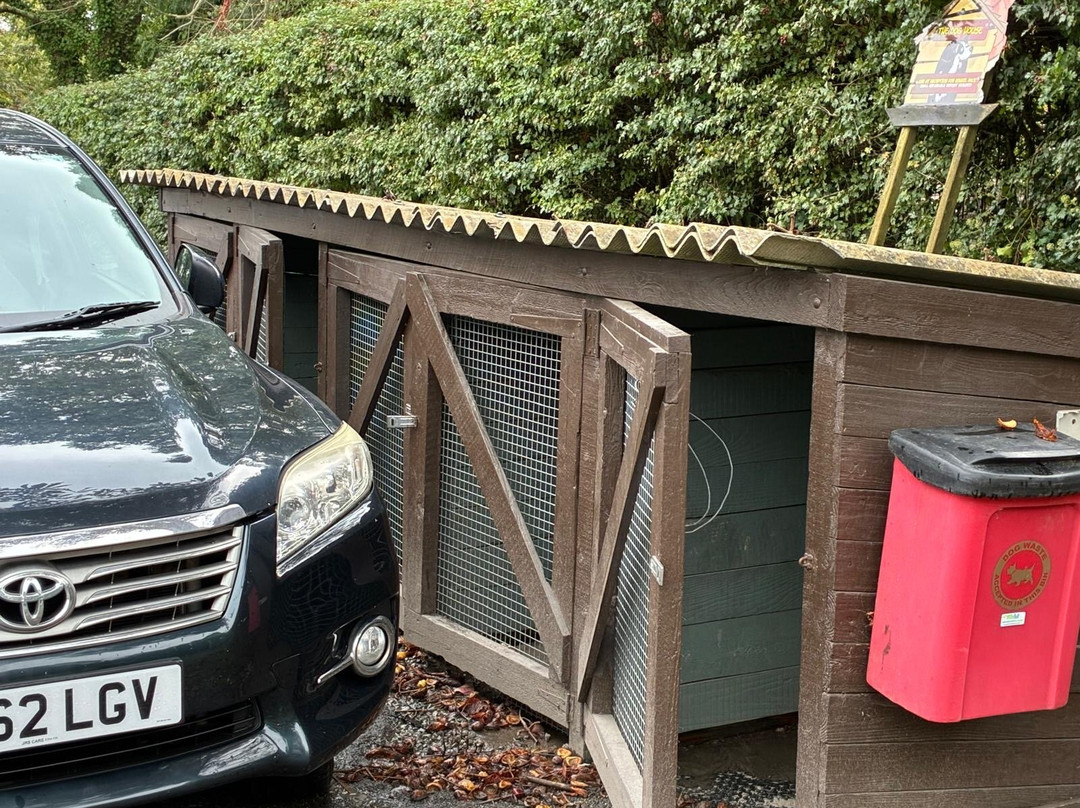 The Big Sheep.-比迪福德必去景点