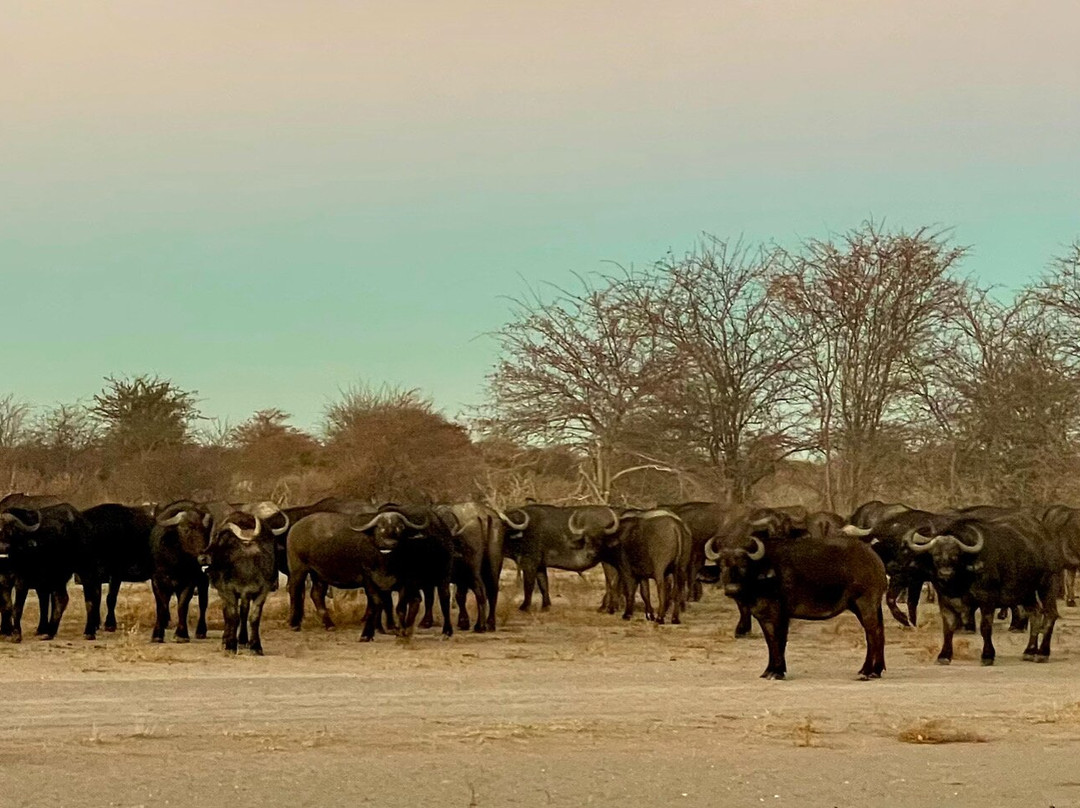 Africa's Best Adventures-开普敦必去景点