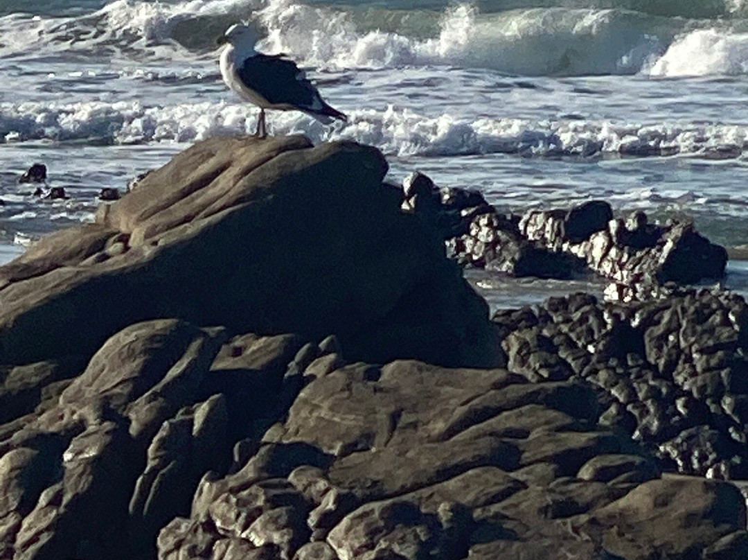 The Beach House主图