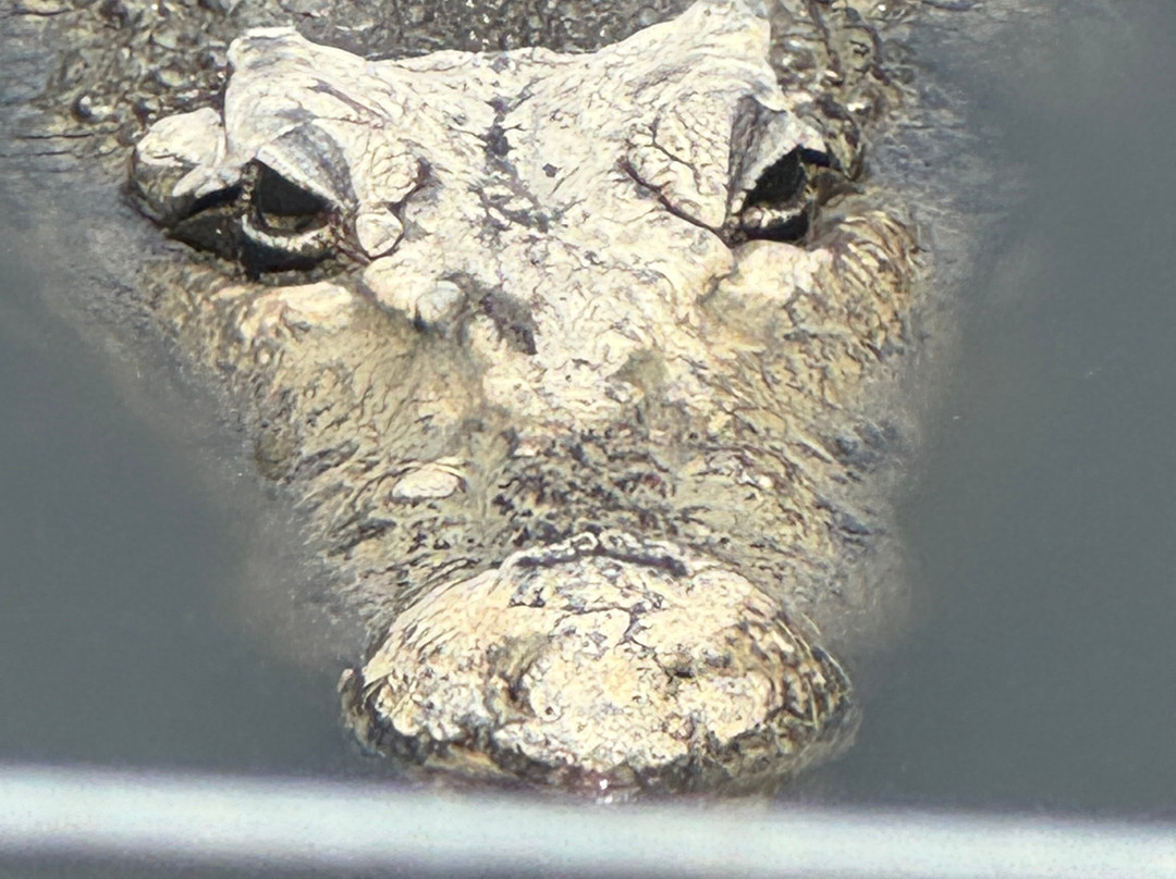 Koorana Crocodile Farm-Coowonga必去景点