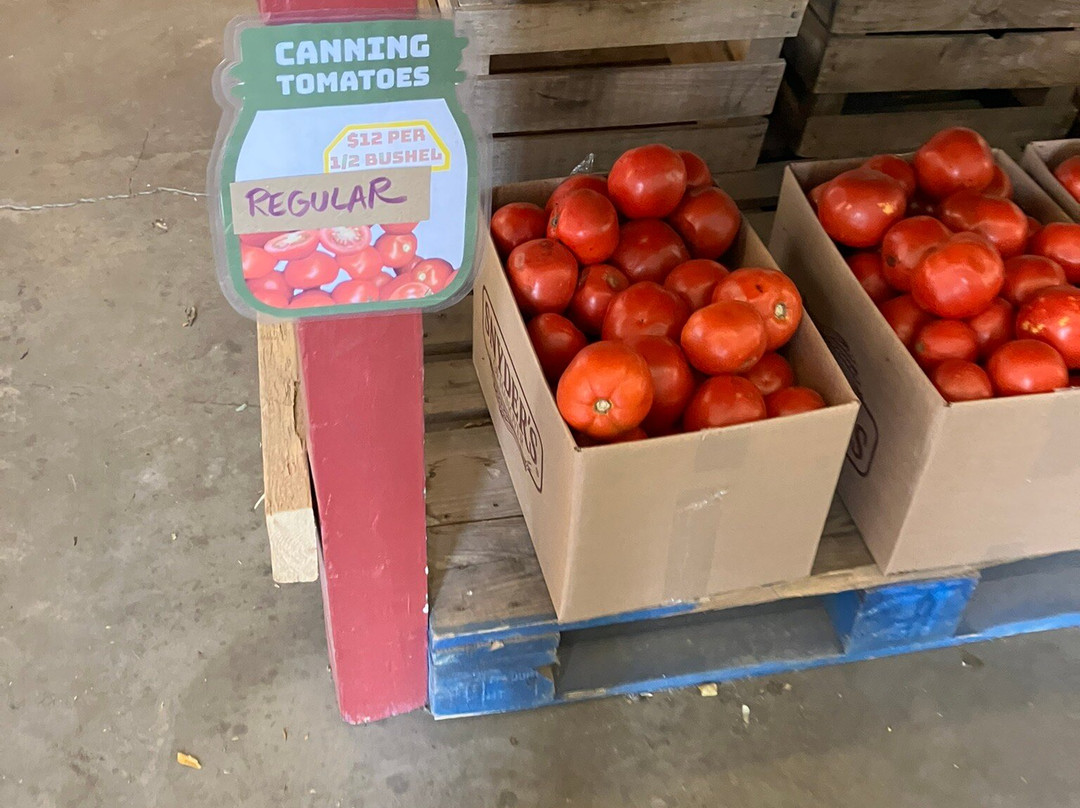 Paulus Farm Market-梅卡尼克斯堡必去景点