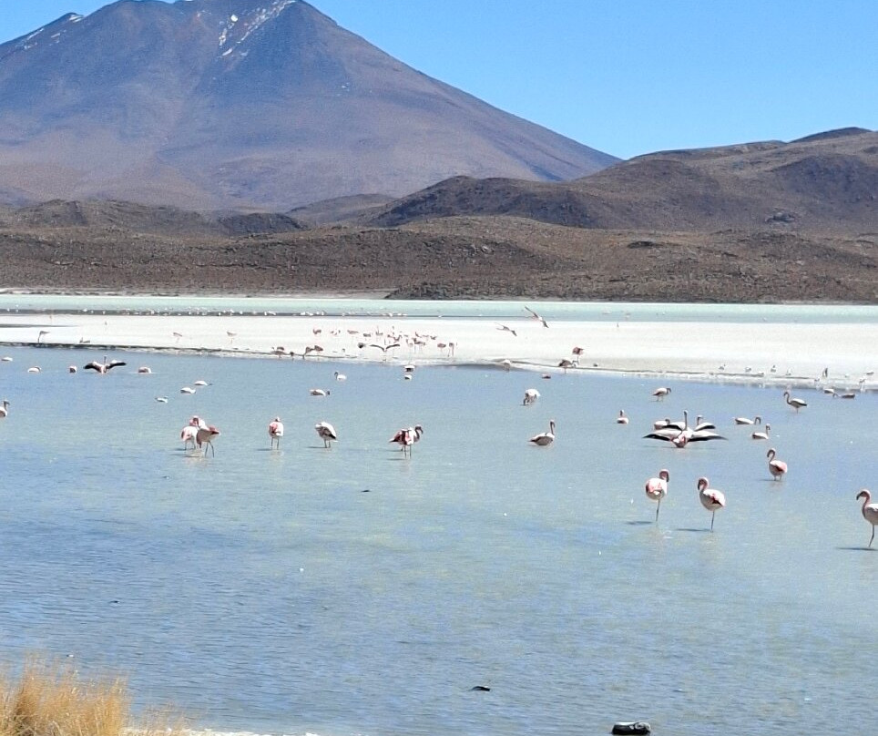 Expediciones Estrella Del Sur Bolivia-乌尤尼必去景点