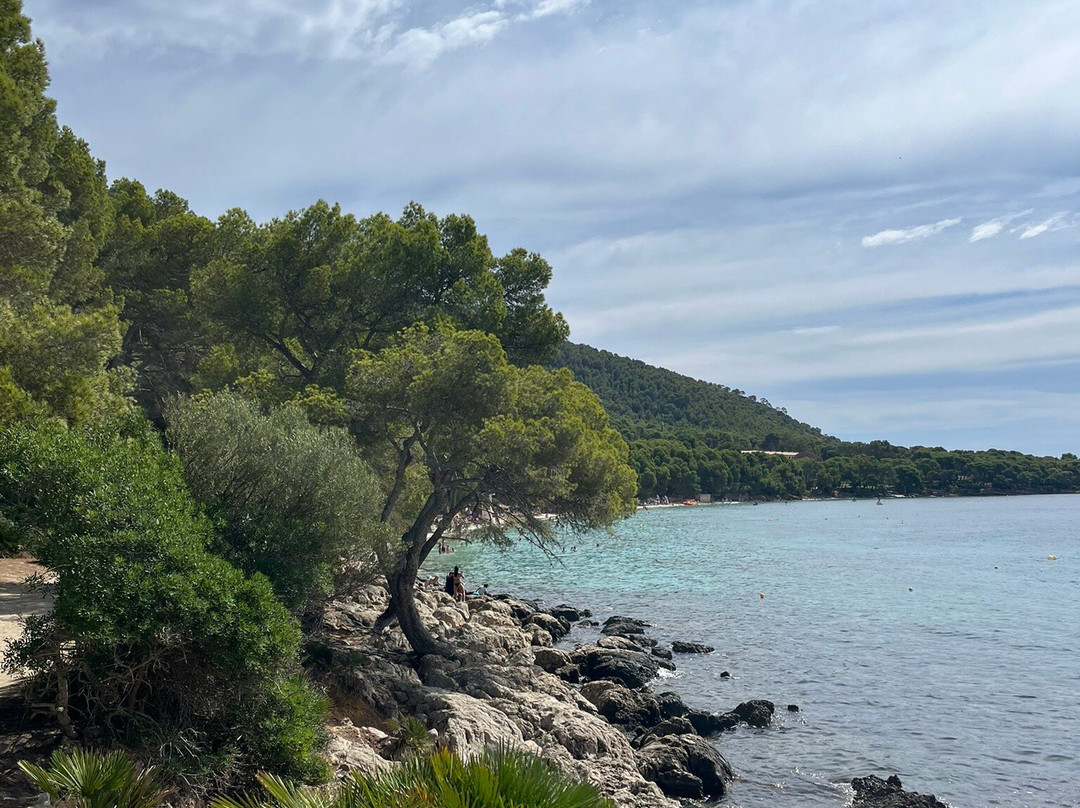 Formentor Playa-Formentor必去景点
