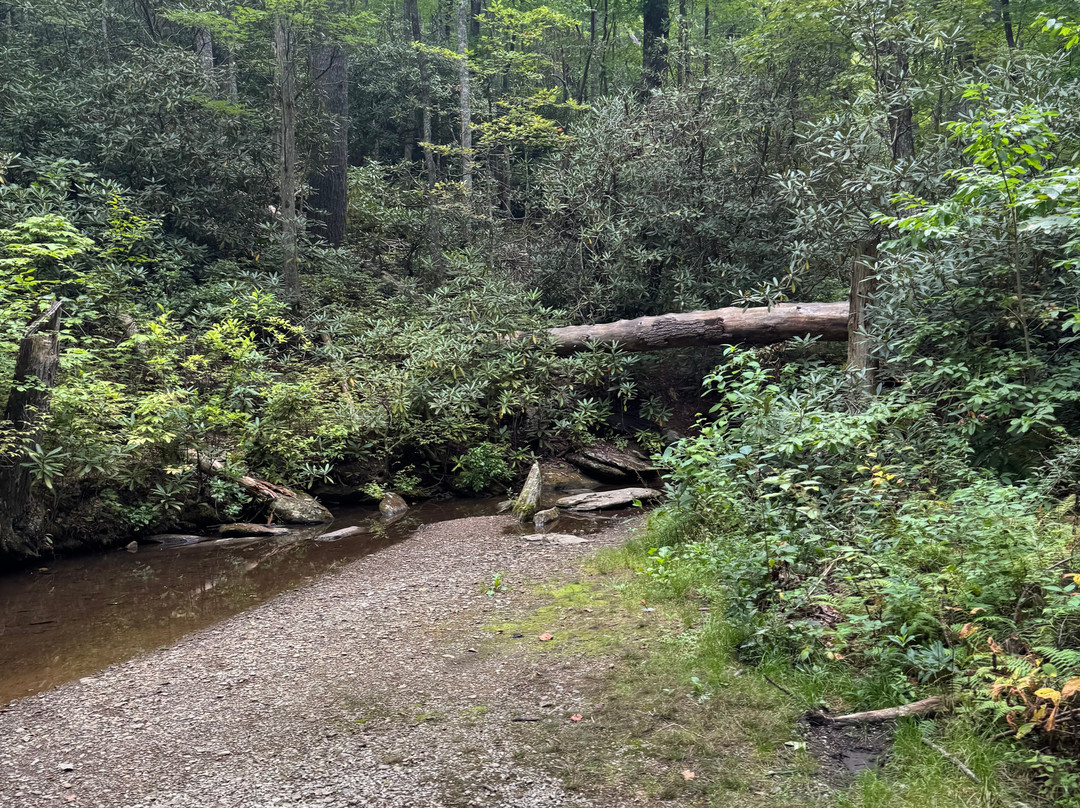 Rich Mountain Road-大雾山国家公园必去景点