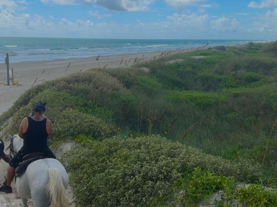 Horses On The Beach: Corpus Christi-科珀斯克里斯蒂市必去景点