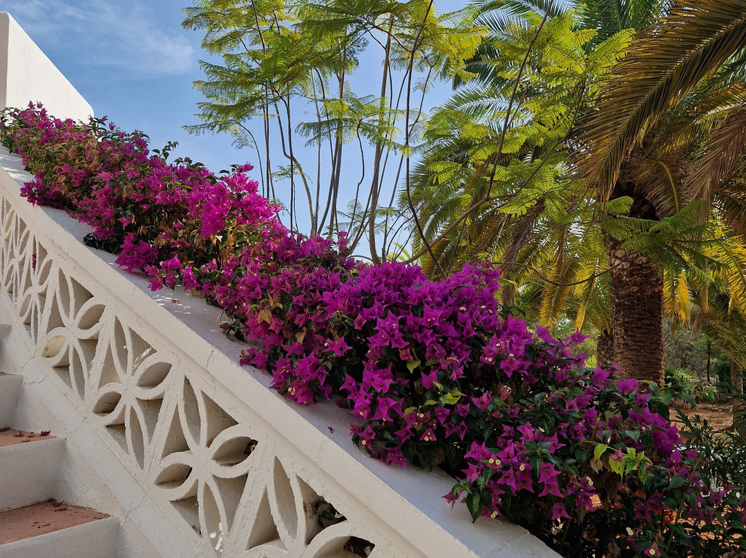 Hacienda Encanto Del Rio主图