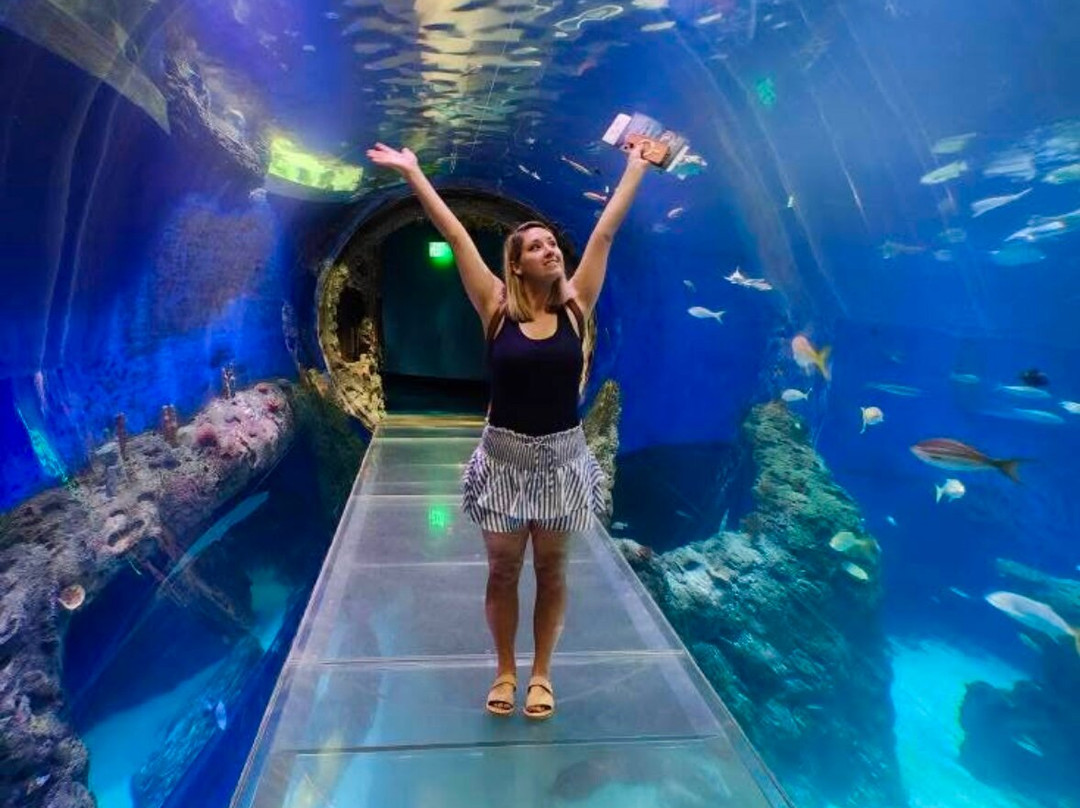 Mississippi Aquarium-格尔夫波特必去景点