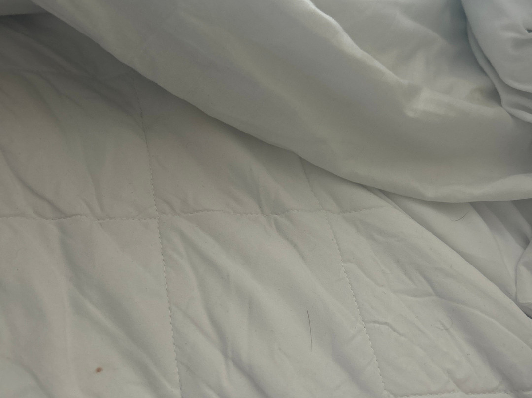 Best Western Dundee Woodlands Hotel主图