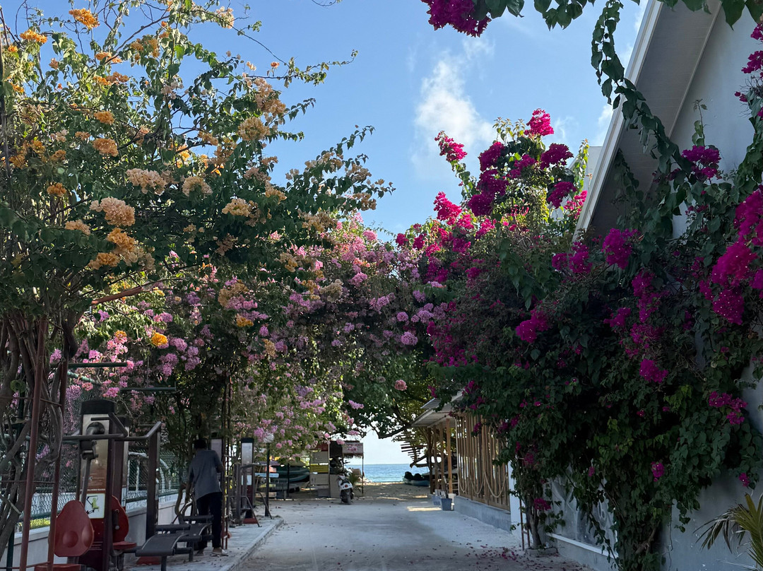 Ocean Mantra Retreats-拉斯胡必去景点