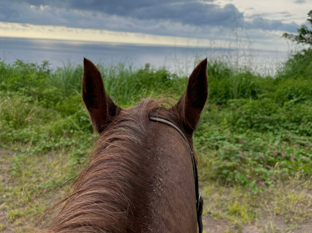 Lo de Marcos Horseback Rides & Adventure Tours-Lo de Marcos必去景点