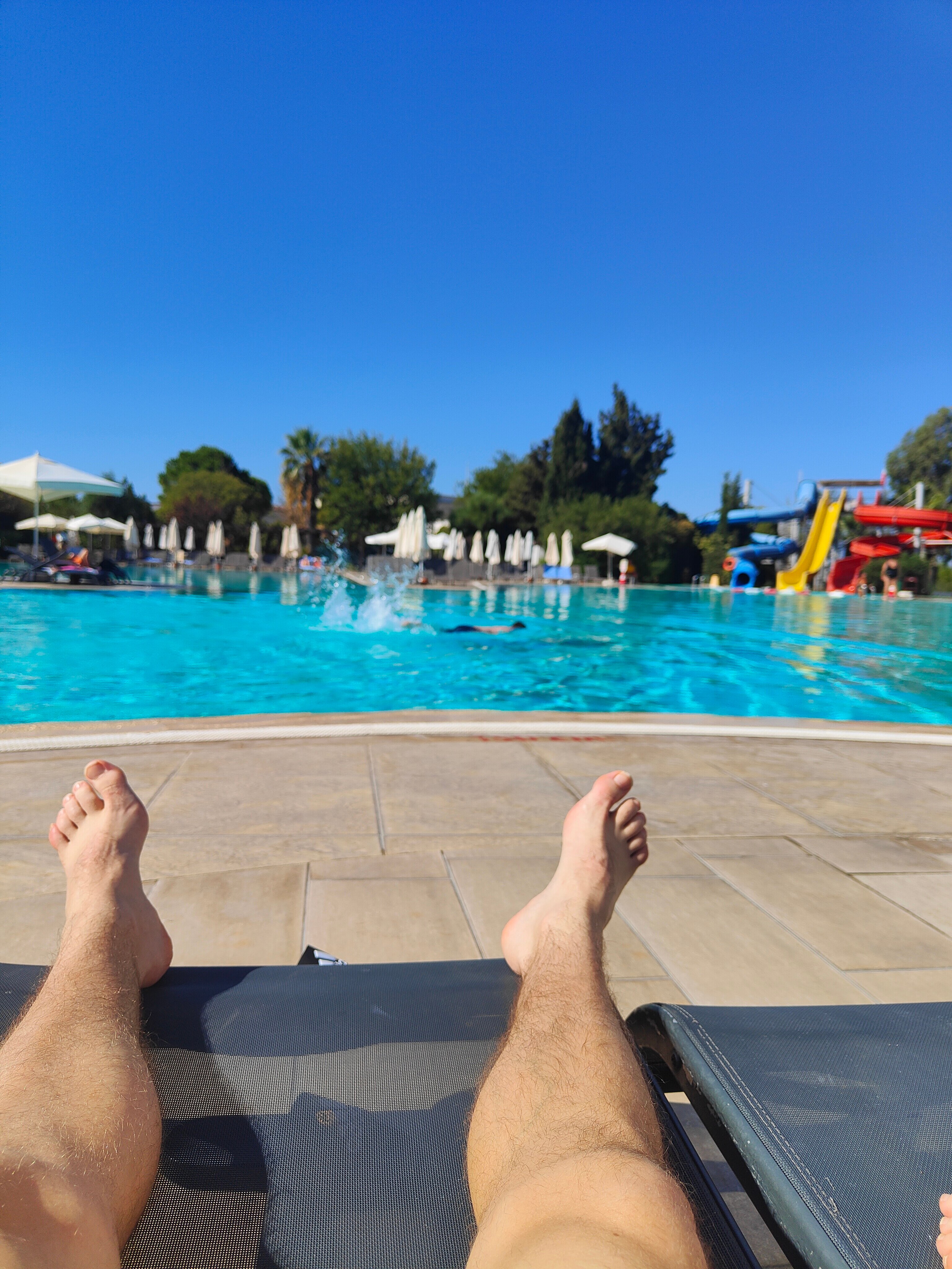 棕榈翼海滩度假酒店-泳池