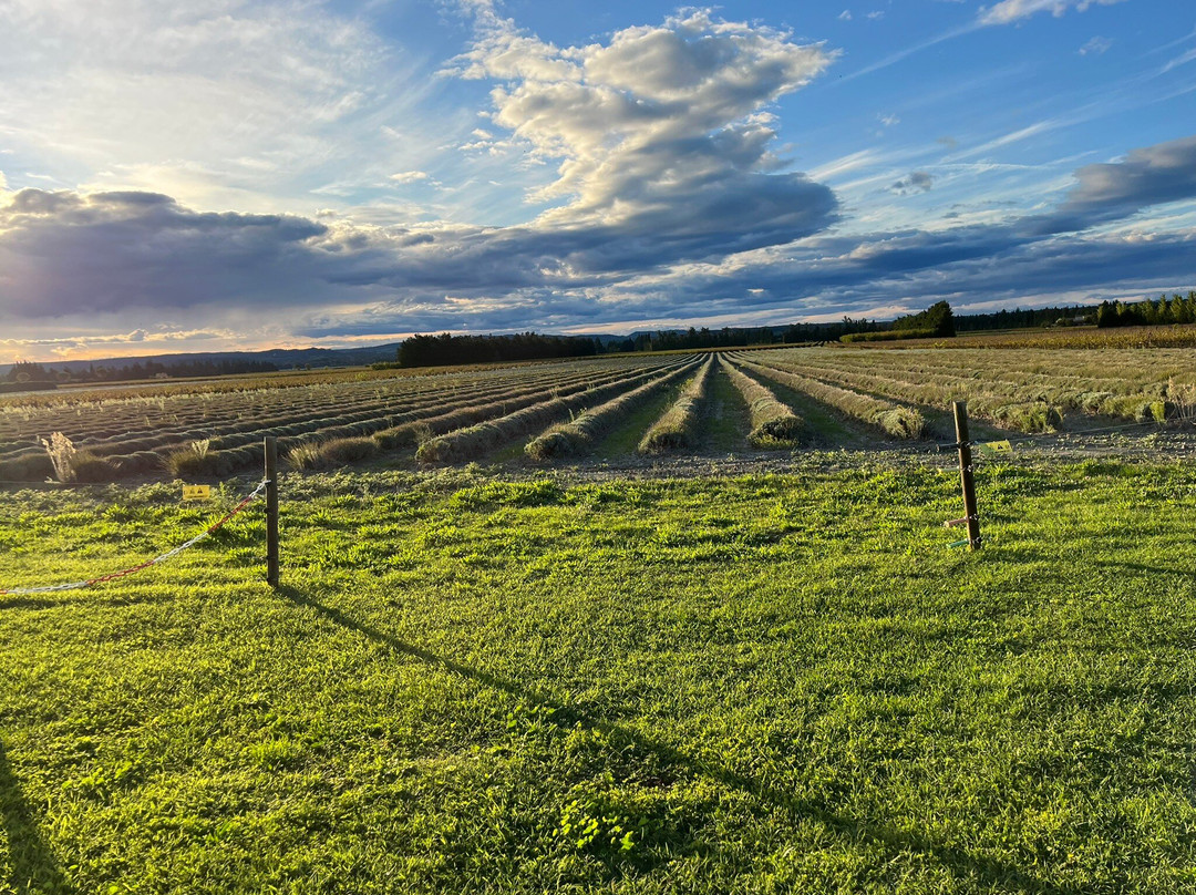 Entre Vigne et Garrigue主图