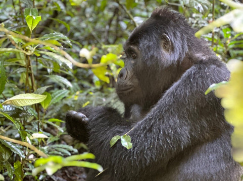 Safaris By Jon-坎帕拉必去景点