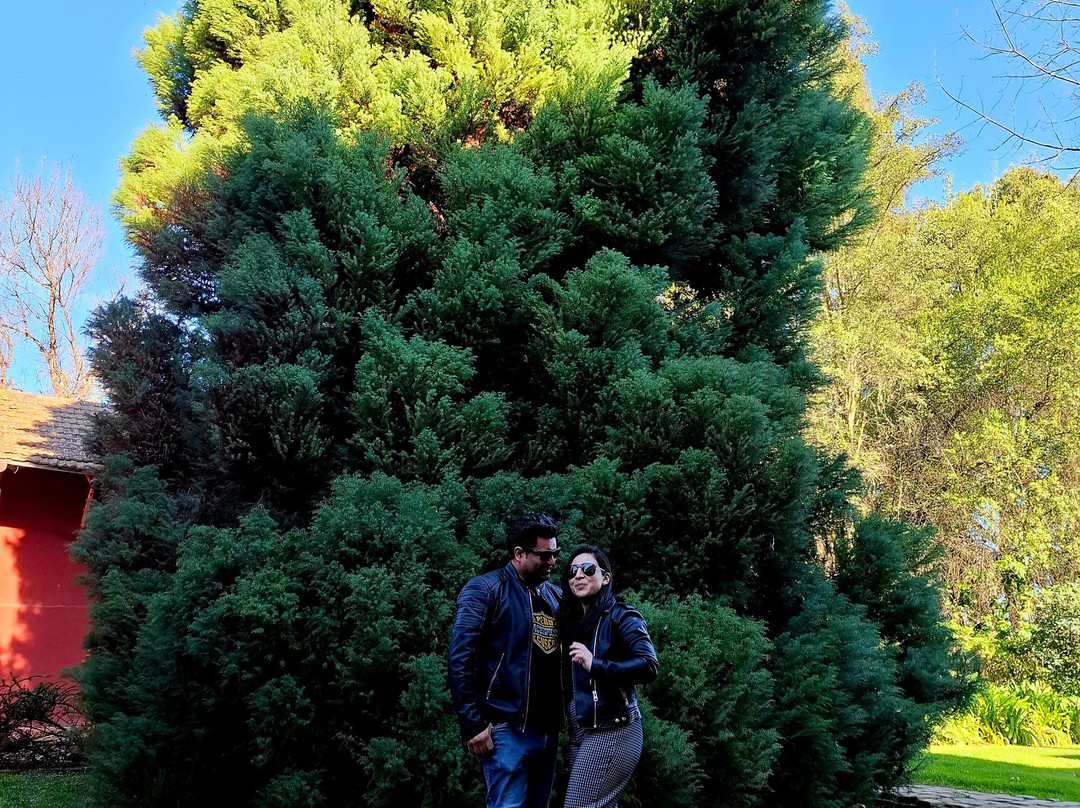 Viña Terranoble-San Clemente必去景点