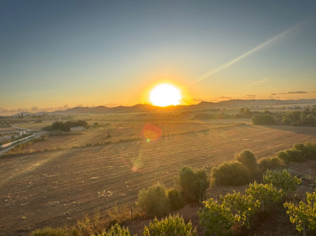 Illes Balears Ballooning S.L.-卡拉米略尔必去景点