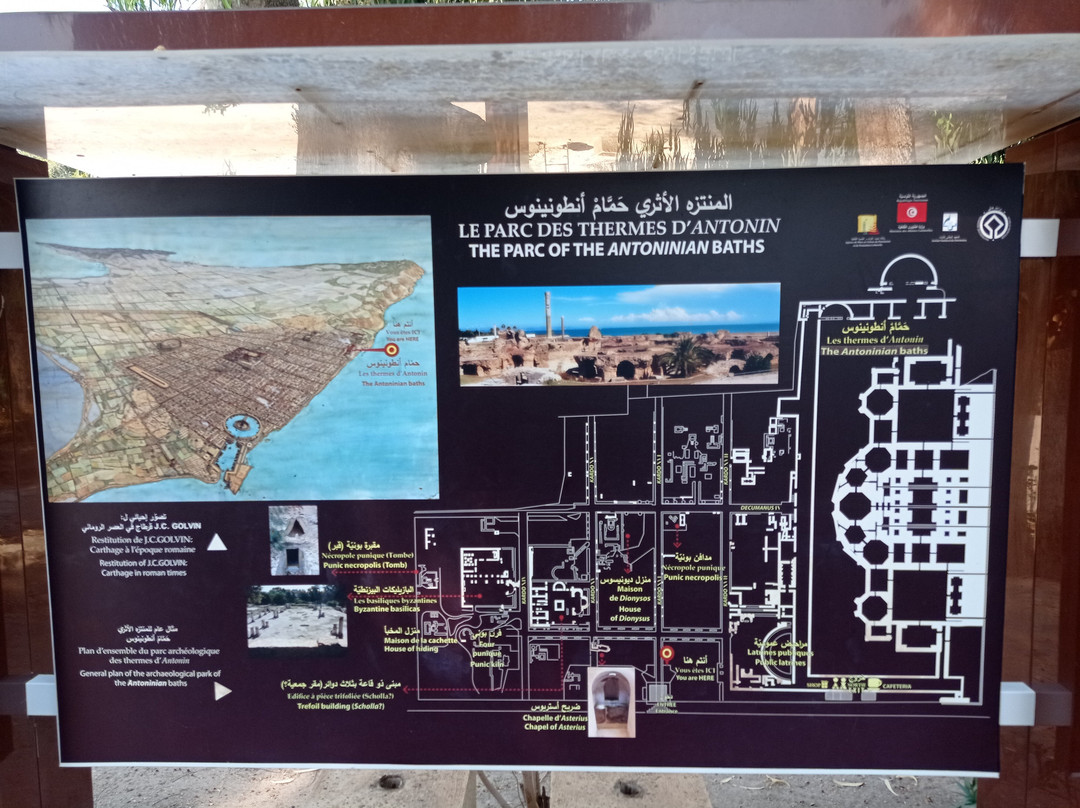 Villas Romaines-迦太基必去景点