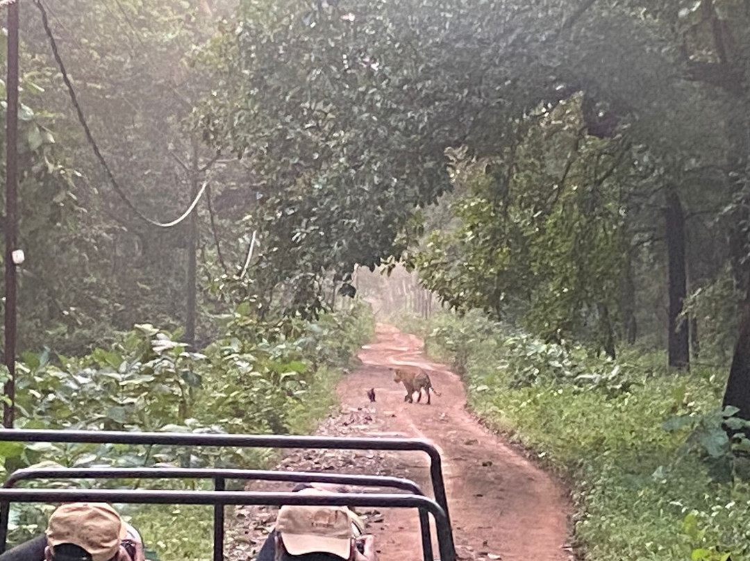 Tathastu Tadoba主图