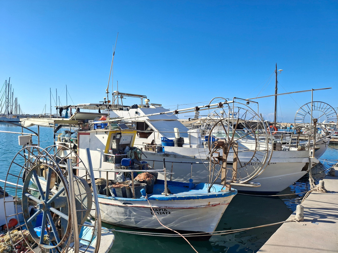 Zygi Marina-Zygi必去景点