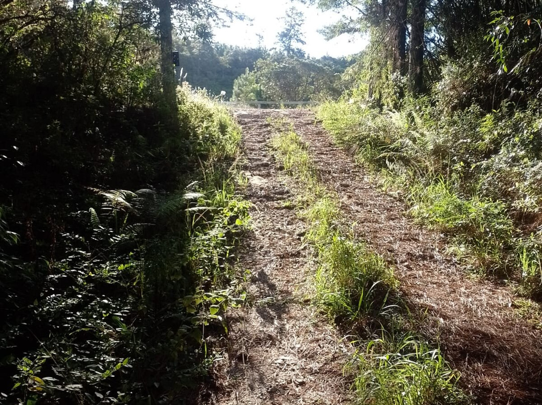 Mirante da Serra da Lumber-Itarare必去景点