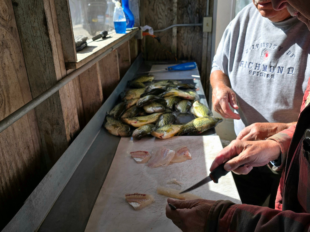 Cobblestone Inn & Suites - Fremont主图