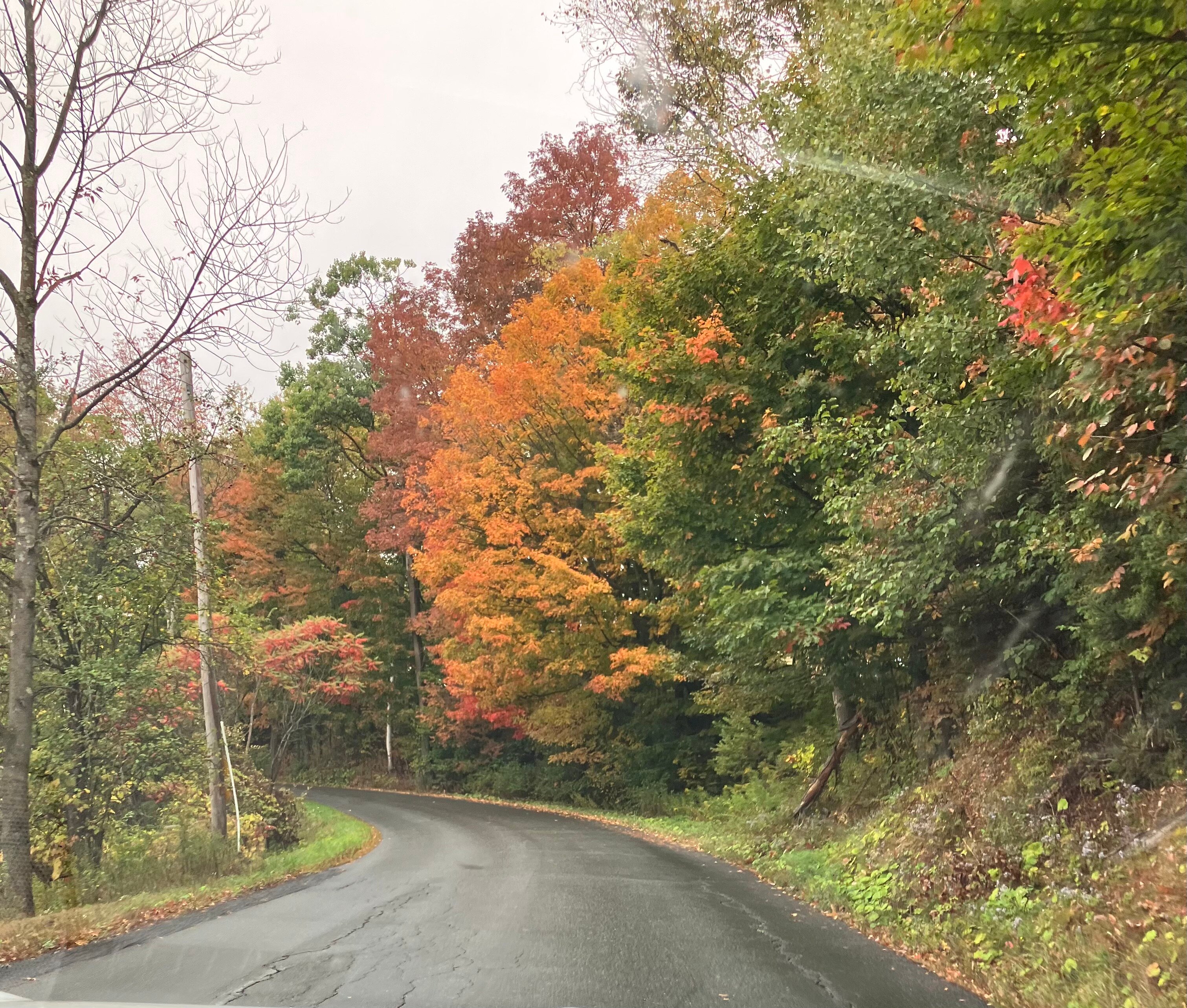 B&b Hillhouse-浴室