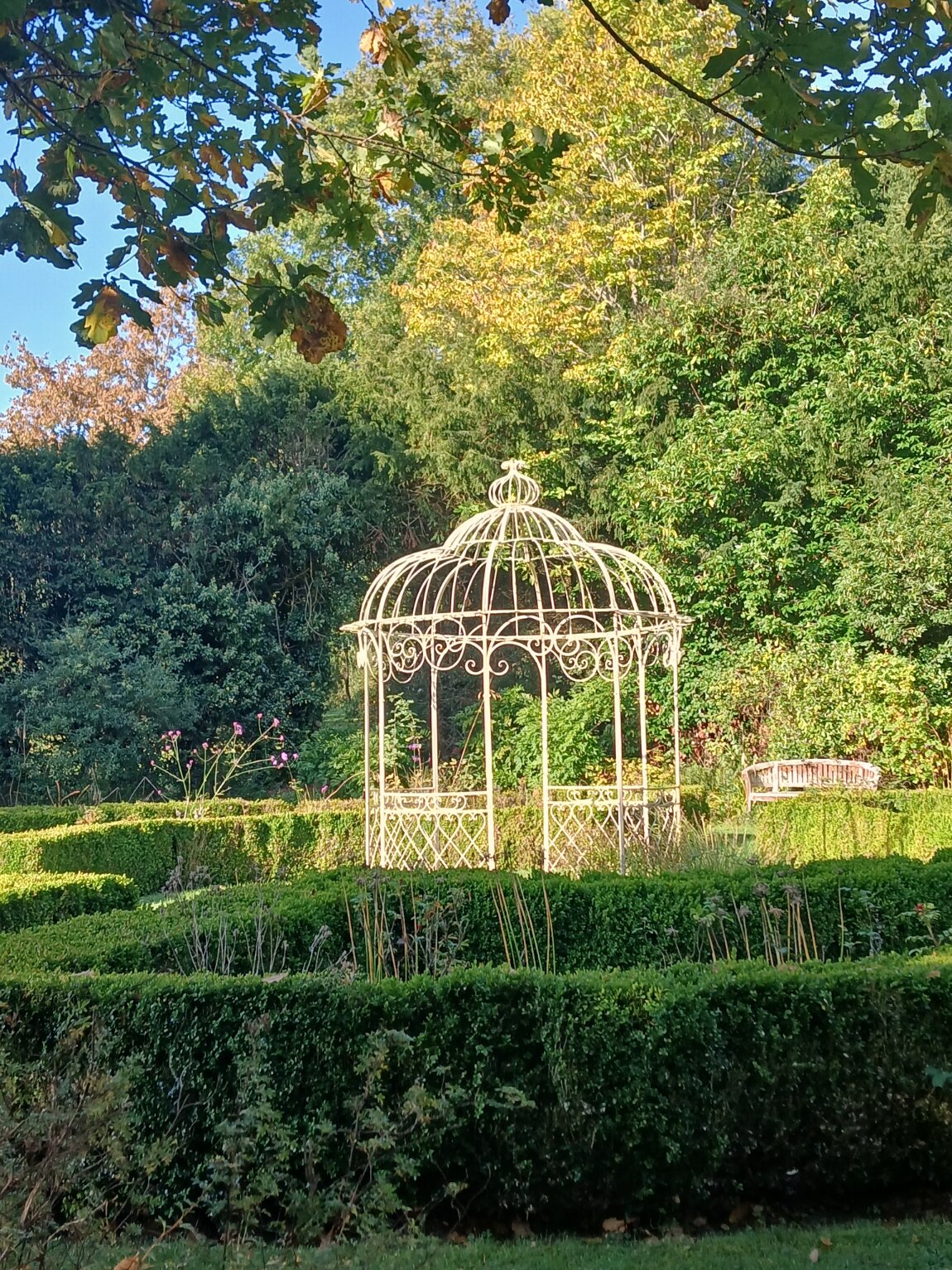 The Ravenswood-官方