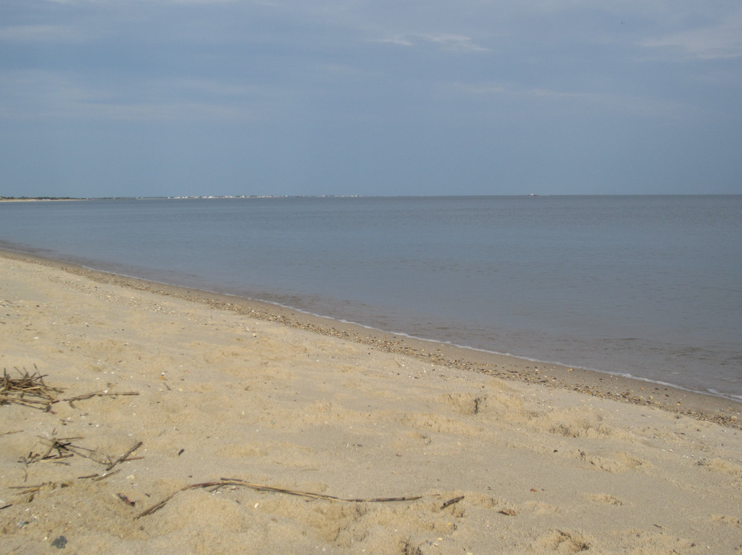 Lewes Beach-刘易斯必去景点