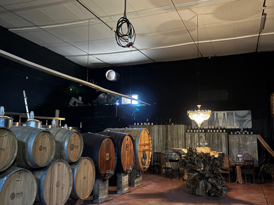 Prior Lucas Vinhos-科英布拉区必去景点