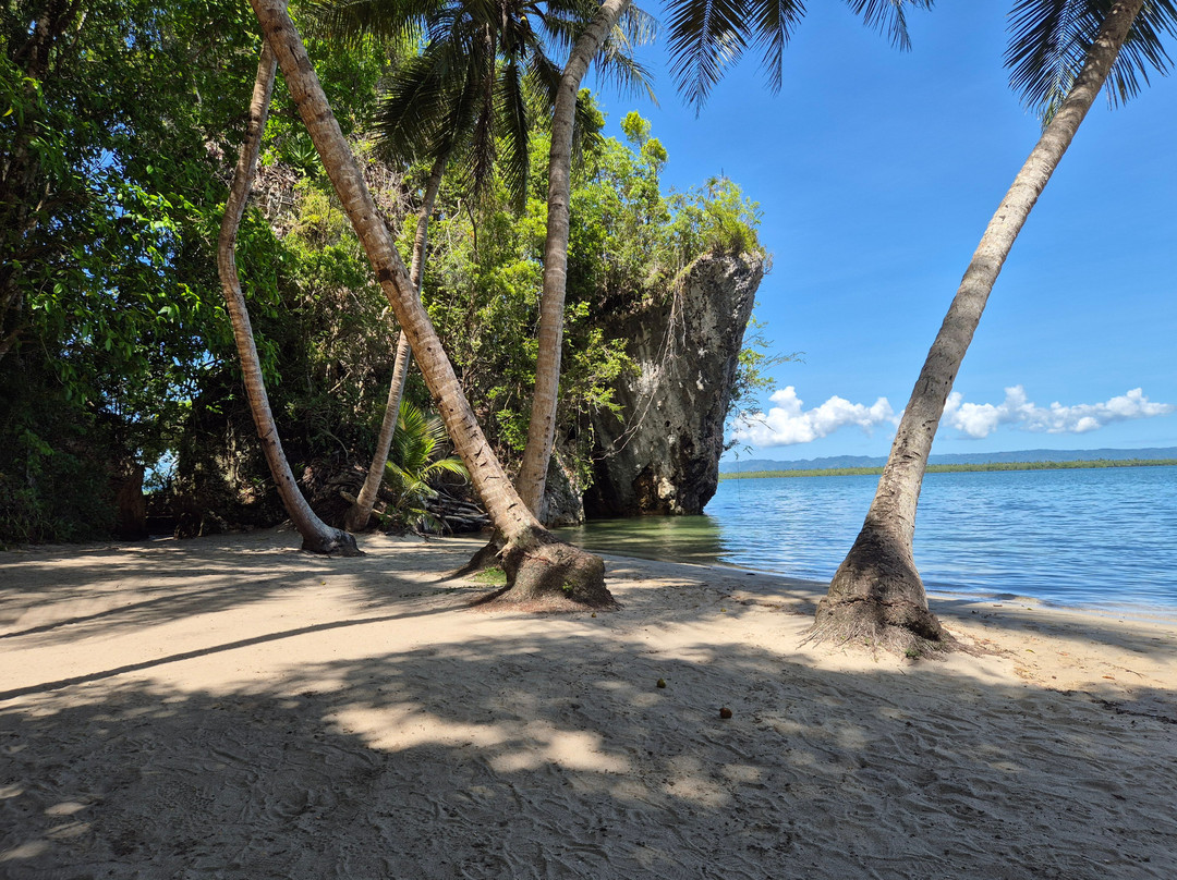 Booking Adventures-Sabana de la Mar必去景点