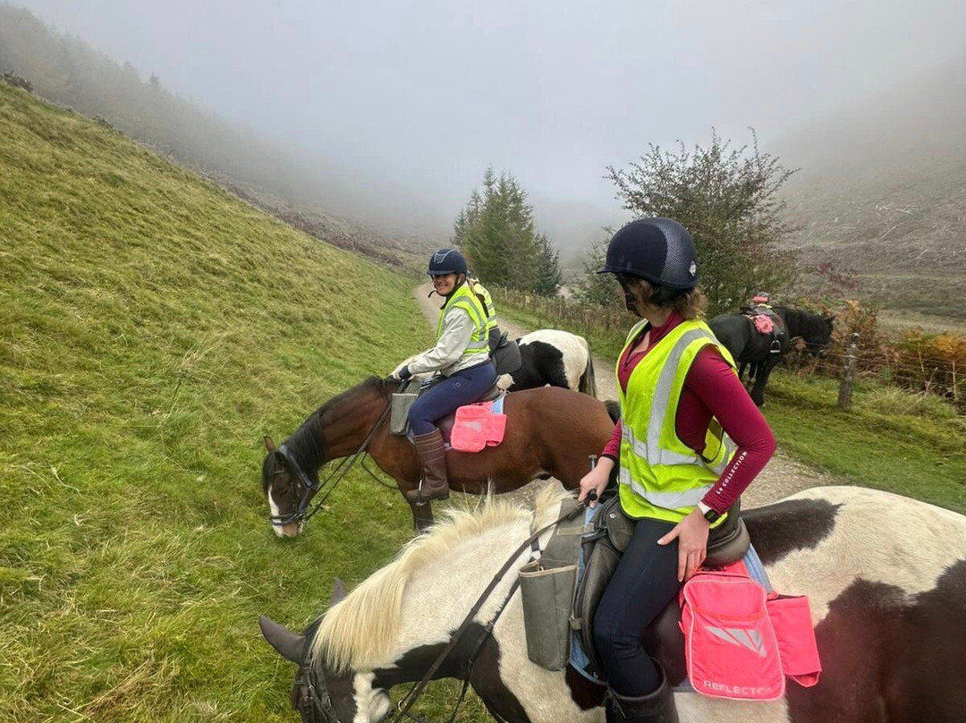 Springhill Farm Riding Stables-奥斯沃斯特必去景点