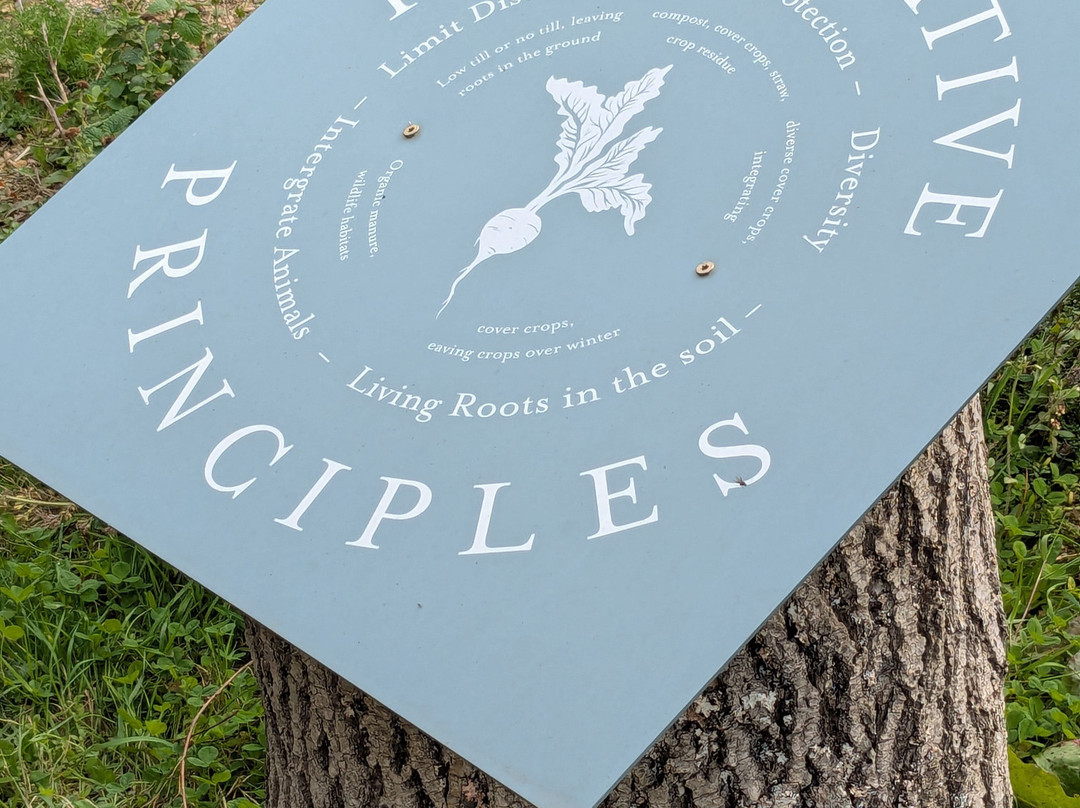 Knepp Wildland Safaris-霍舍姆必去景点