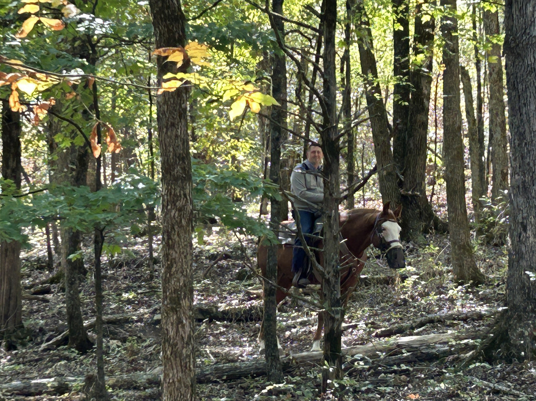 Bear Creek Trail Rides and Stable-Walnut Shade必去景点