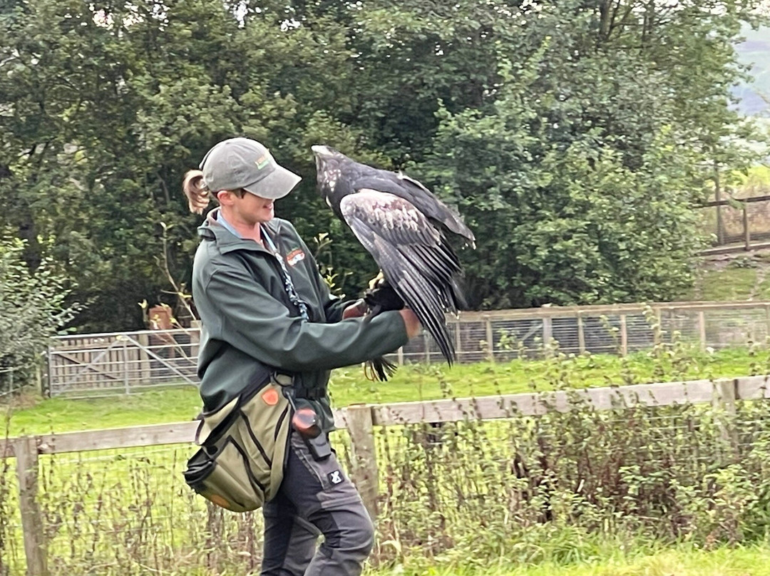 The Lake District Wildlife Park-Bassenthwaite必去景点
