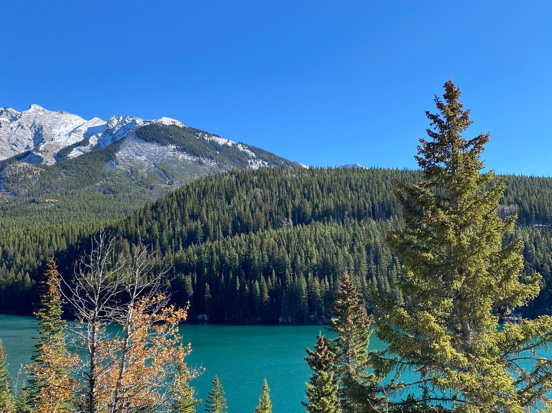 Open Top Touring Banff-班夫必去景点