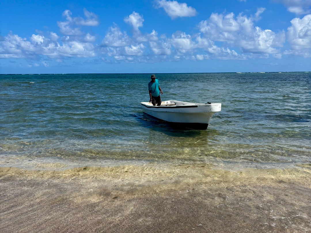 Civa Pearl Farm-塔韦乌尼岛必去景点