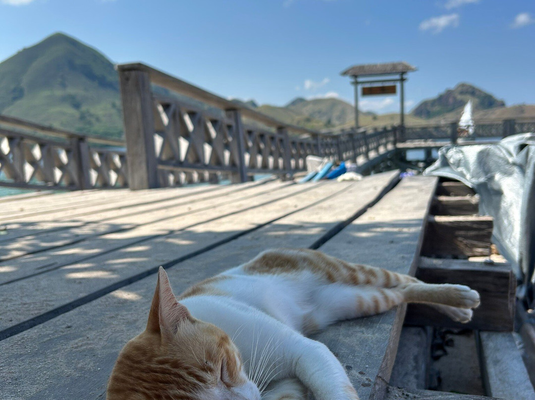 East Indonesia Trip-Labuan Bajo必去景点
