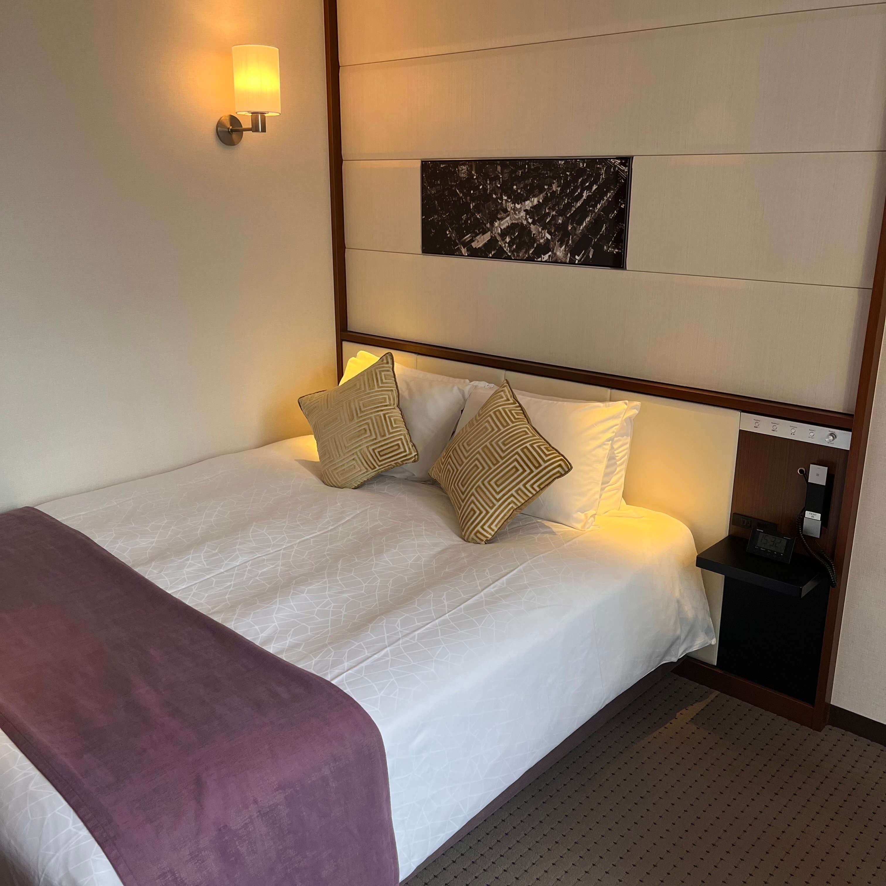 银座索拉里亚西铁酒店-客卧