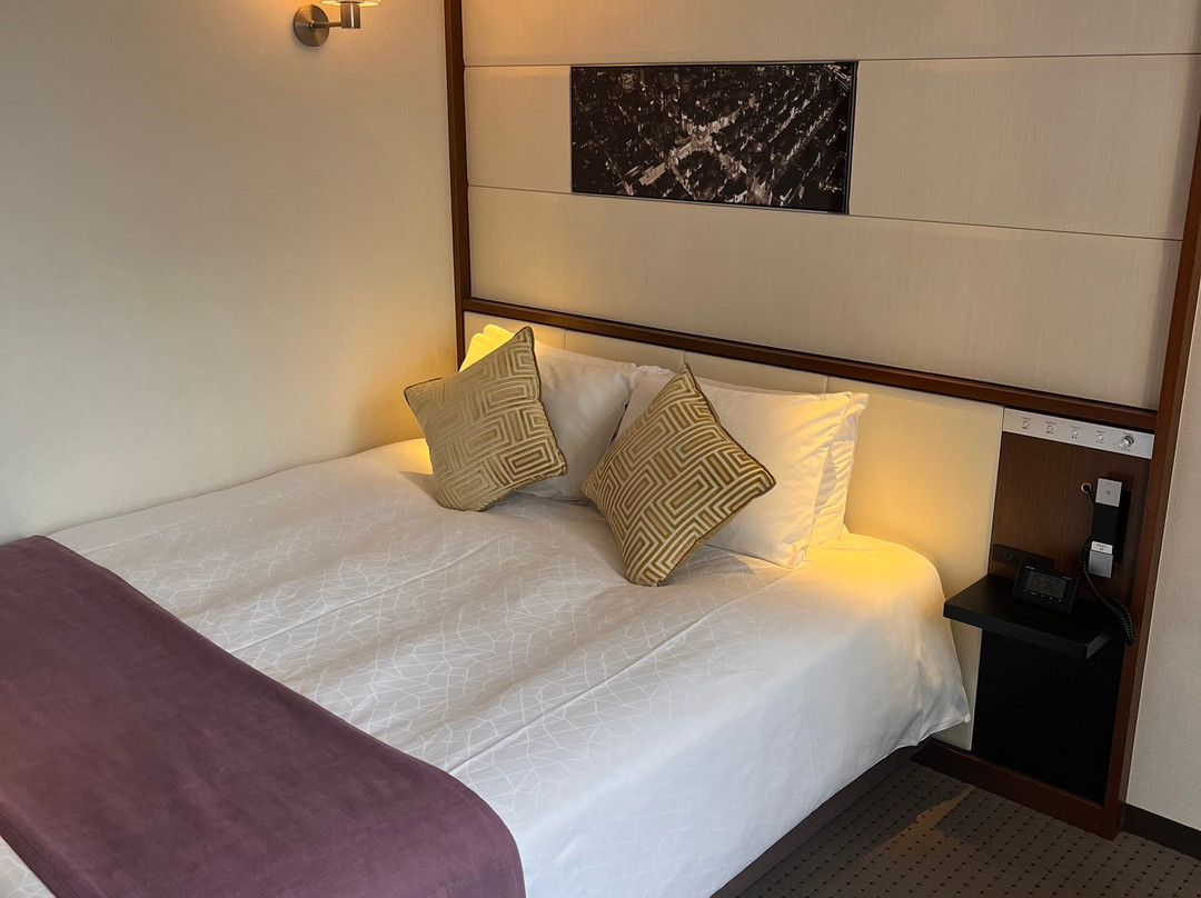 银座索拉里亚西铁酒店主图