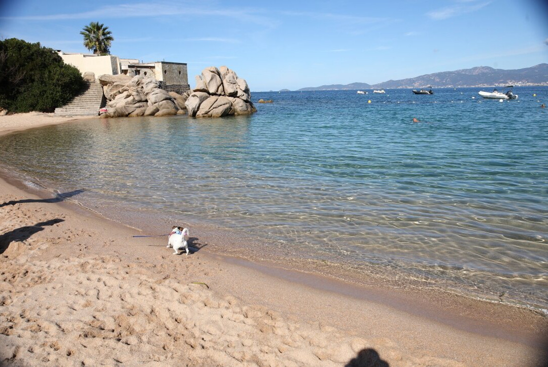 La plage de Verghia-Coti-Chiavari必去景点