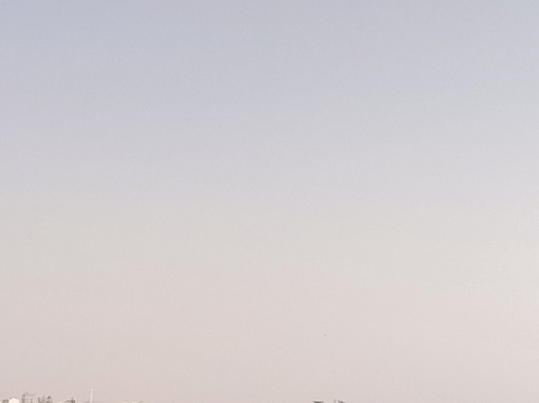 ODYSSEY - Ria Formosa Boat Tours-奥良必去景点