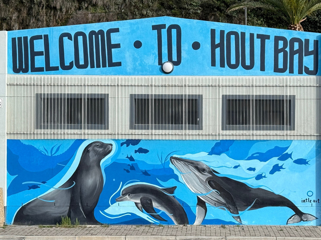 Drumbeat Charters-木湾必去景点