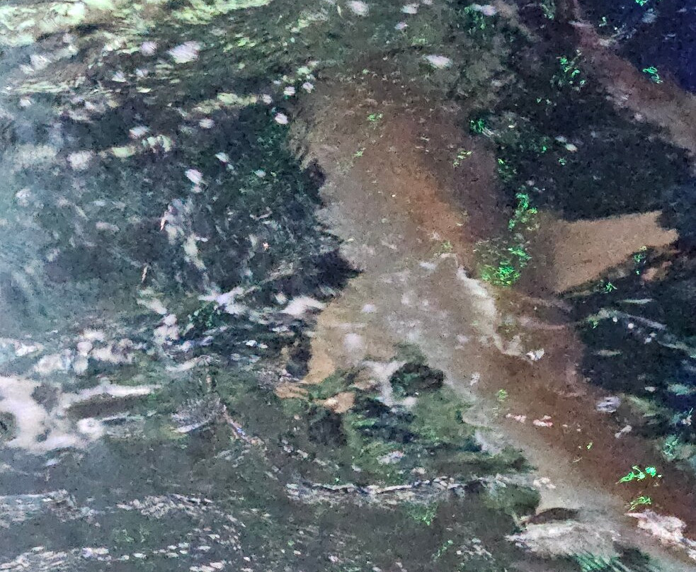 Sea Life Scarborough-斯卡伯勒必去景点