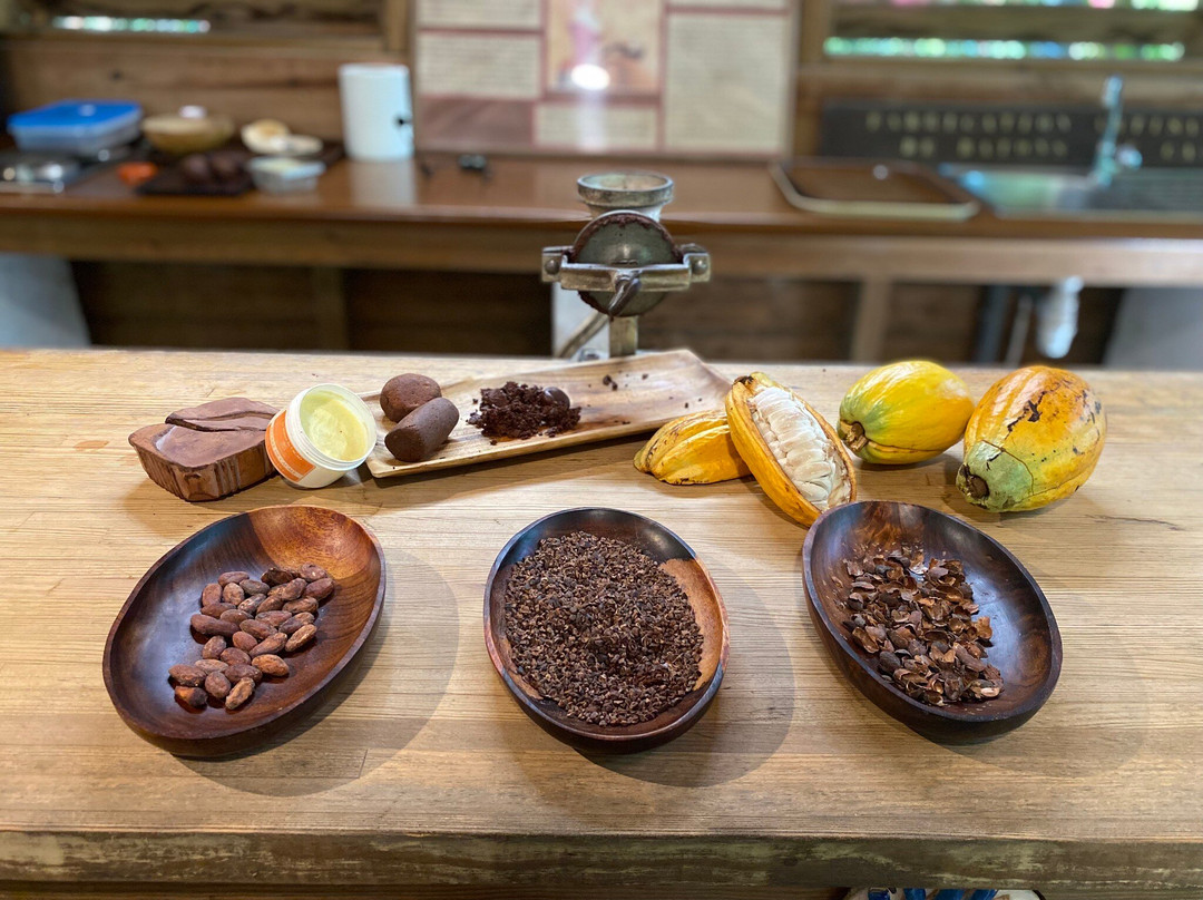 La Maison du Cacao-Pointe-Noire必去景点