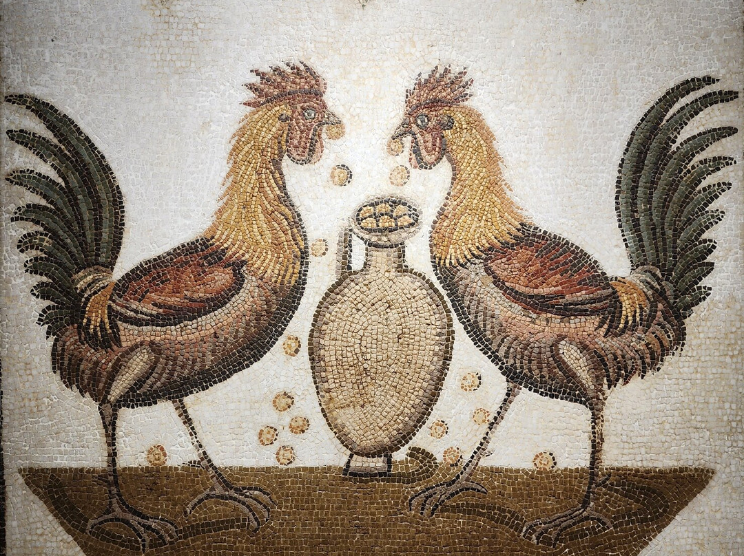 Musee Archeologique de Nabeul-Nabeul必去景点