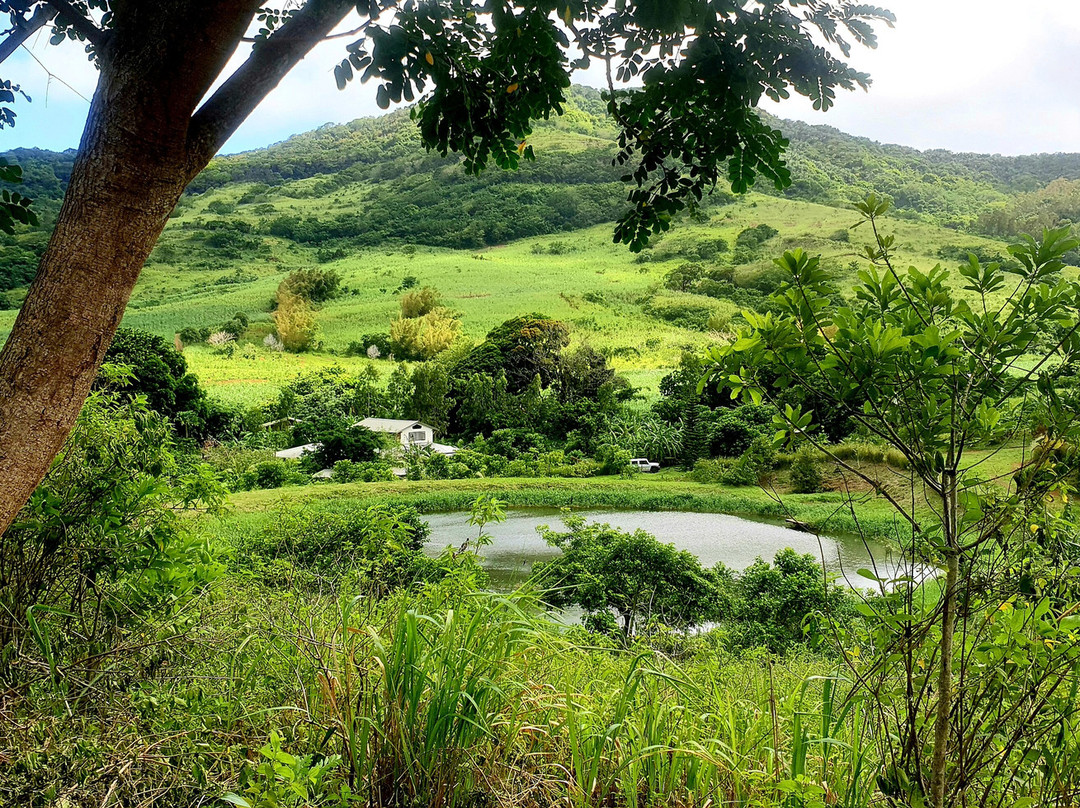 Terganic Farmstay-Bambous Virieux必去景点