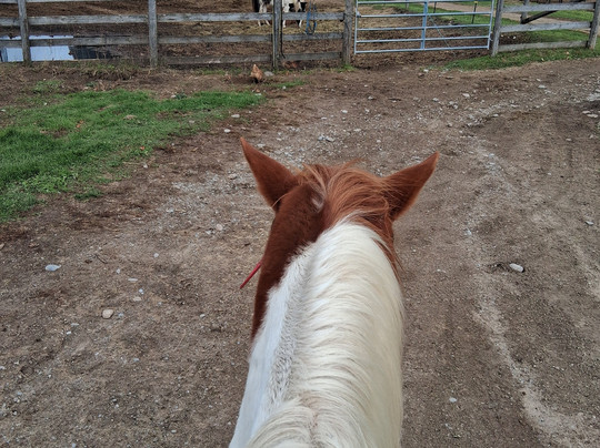 Pathways on Pleasure Valley-Uxbridge必去景点